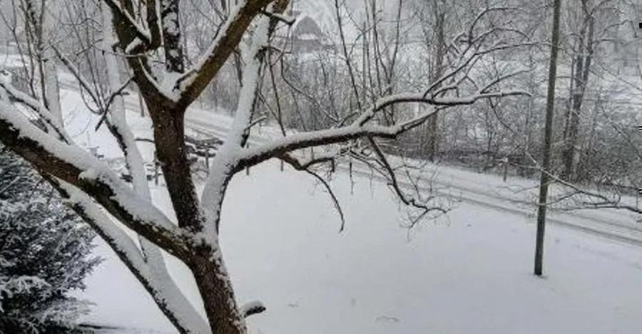 14 winter storm-related deaths reported in Tennessee