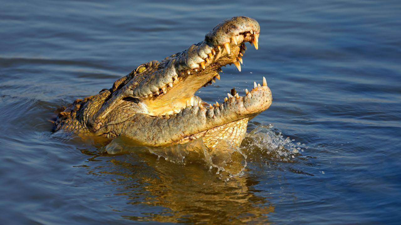 Mother throws mute son into crocodile-infested river during marital ...