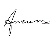 Cosmos the fusion of art and infinity