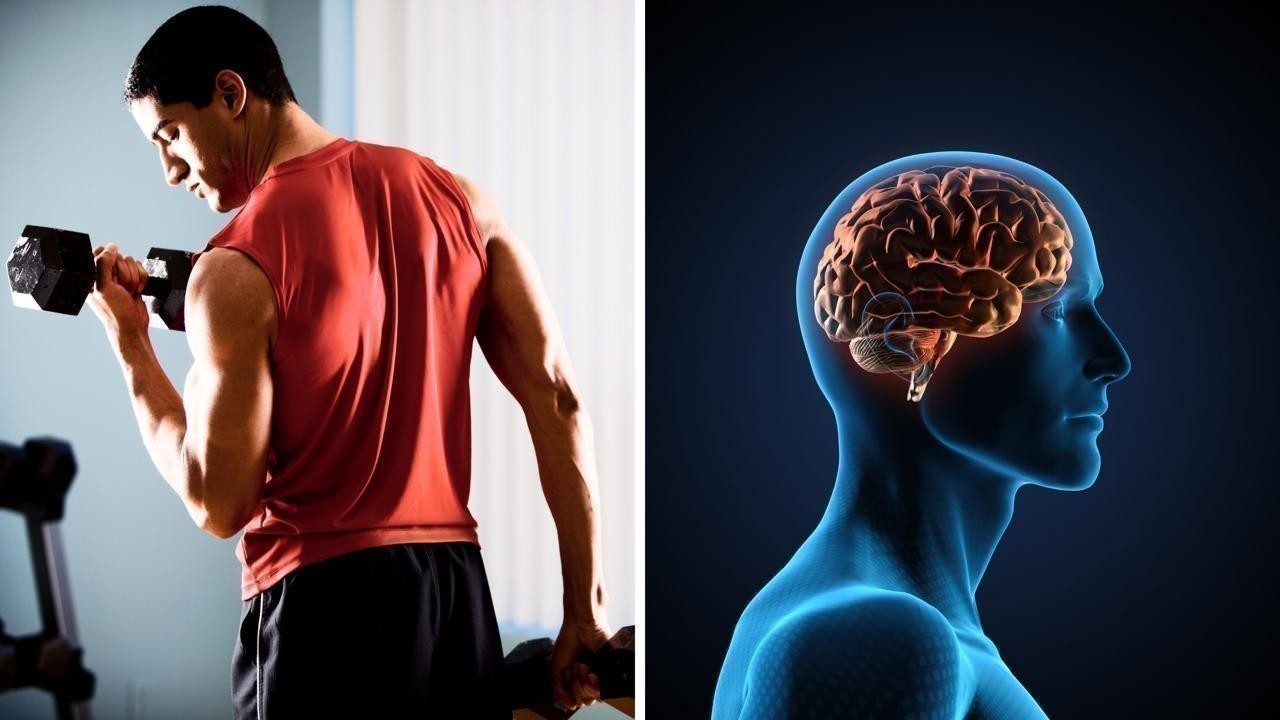 Exercise Helps Your Brain Grow and Keep You Smart and Young