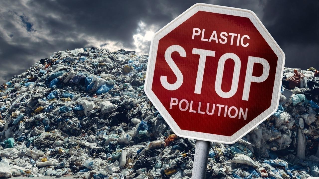 Plastic Pollution: 7 Important Facts and Easy Solutions for Students