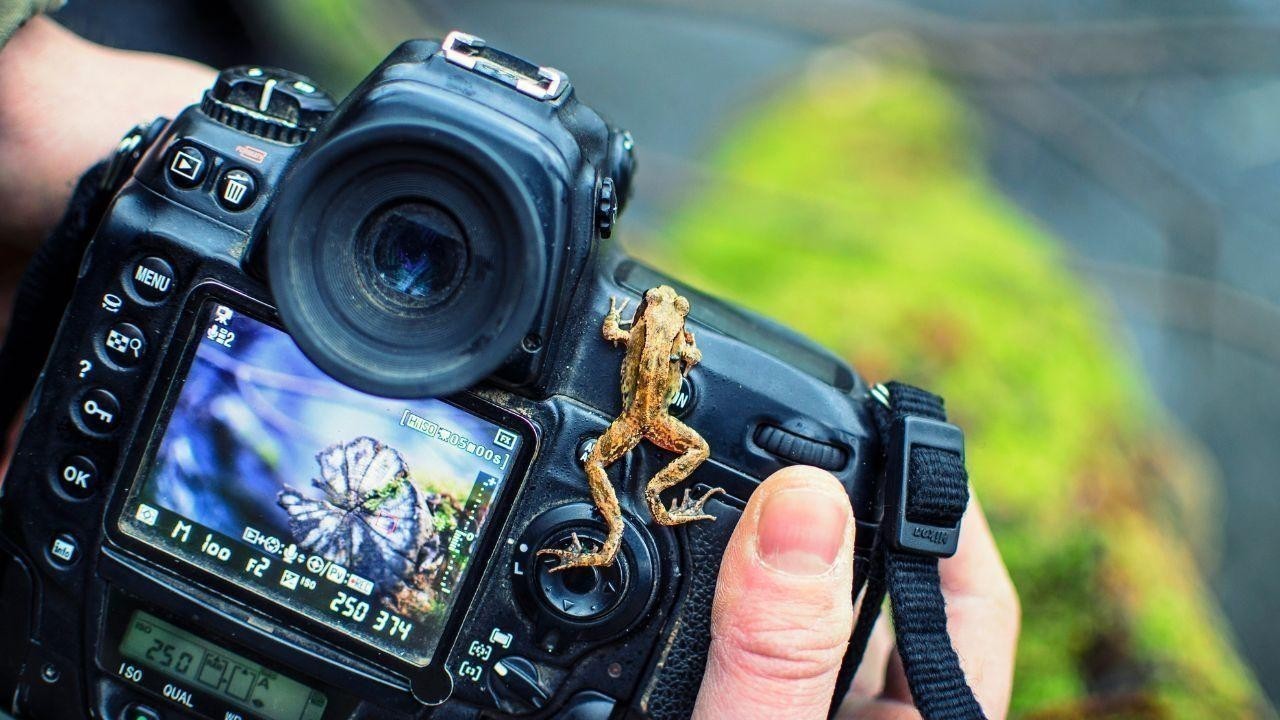 World Photography Day: A Tribute to the Art of Capturing Moments