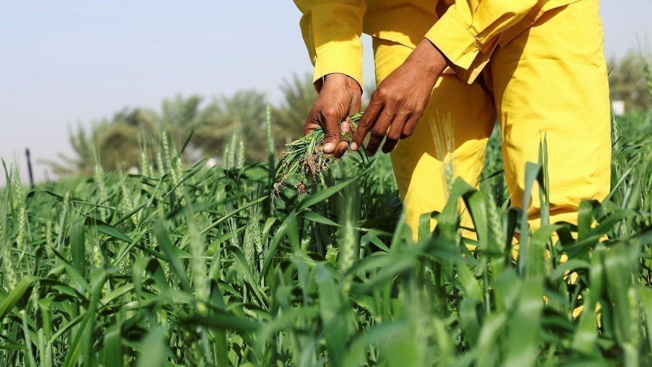 Pakistan-UAE Trade Surges Beyond $10 Billion With New Investments