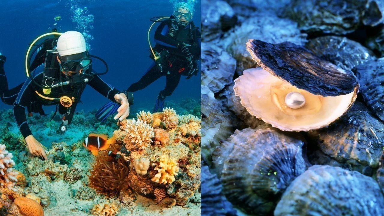 The Golden Era of Pearl Diving in the UAE: A Historical Perspective