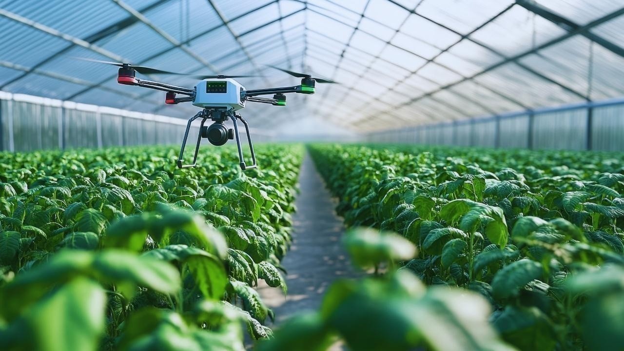 Artificial Intelligence in Agriculture: How Farms Are Getting Smarter Worldwide