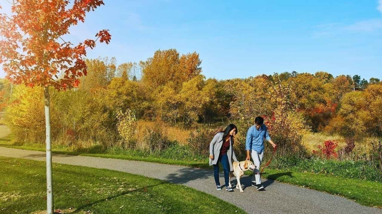Why Daily Walks Are Becoming a Mental Health Essential
