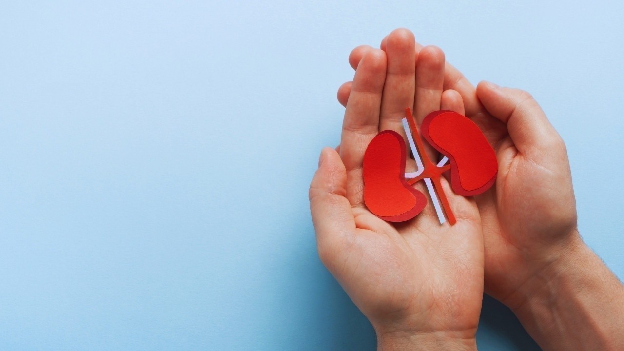 Hope at Last? Patients with Polycystic Kidney Disease React to the Latest Antibody Breakthrough