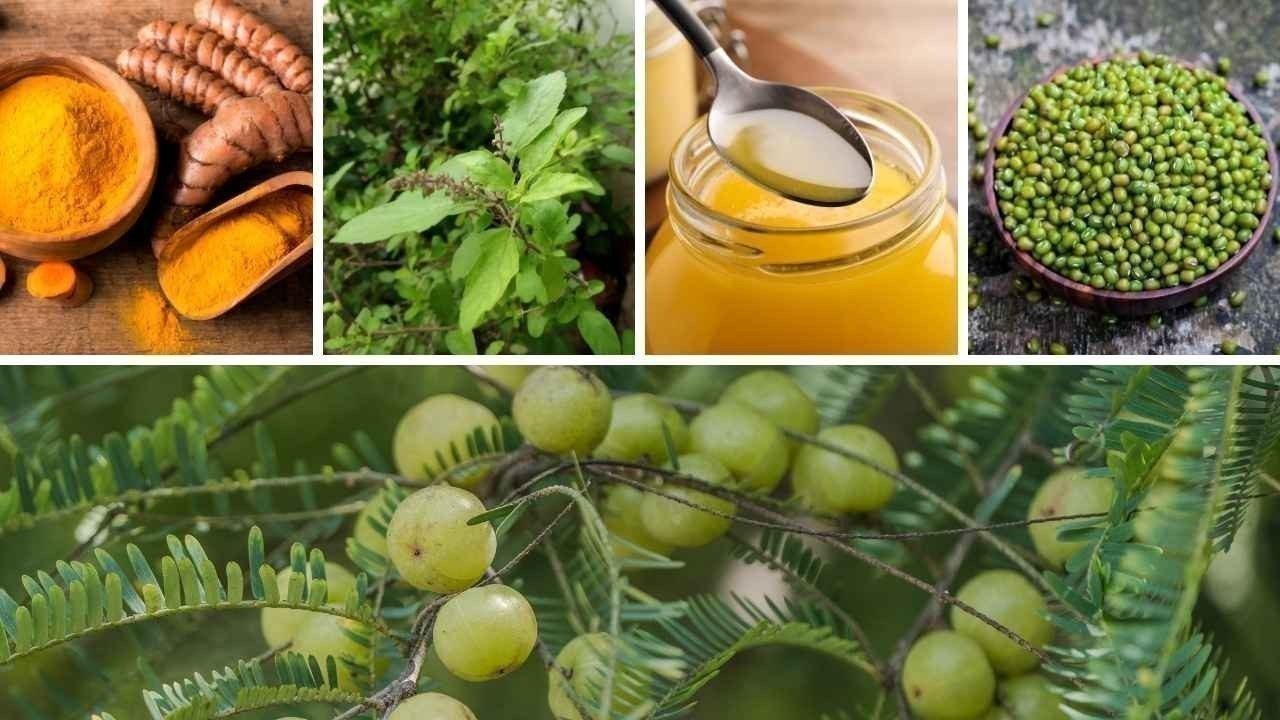 The Immunity Shield: 5 Simple Indian Superfoods to Keep Your Child Cold-Free