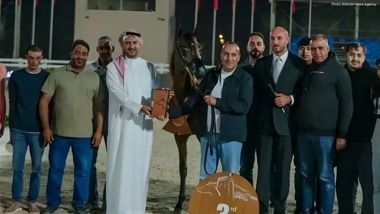 Dubai Celebrates Arabian Horse Beauty Championship 2025-26