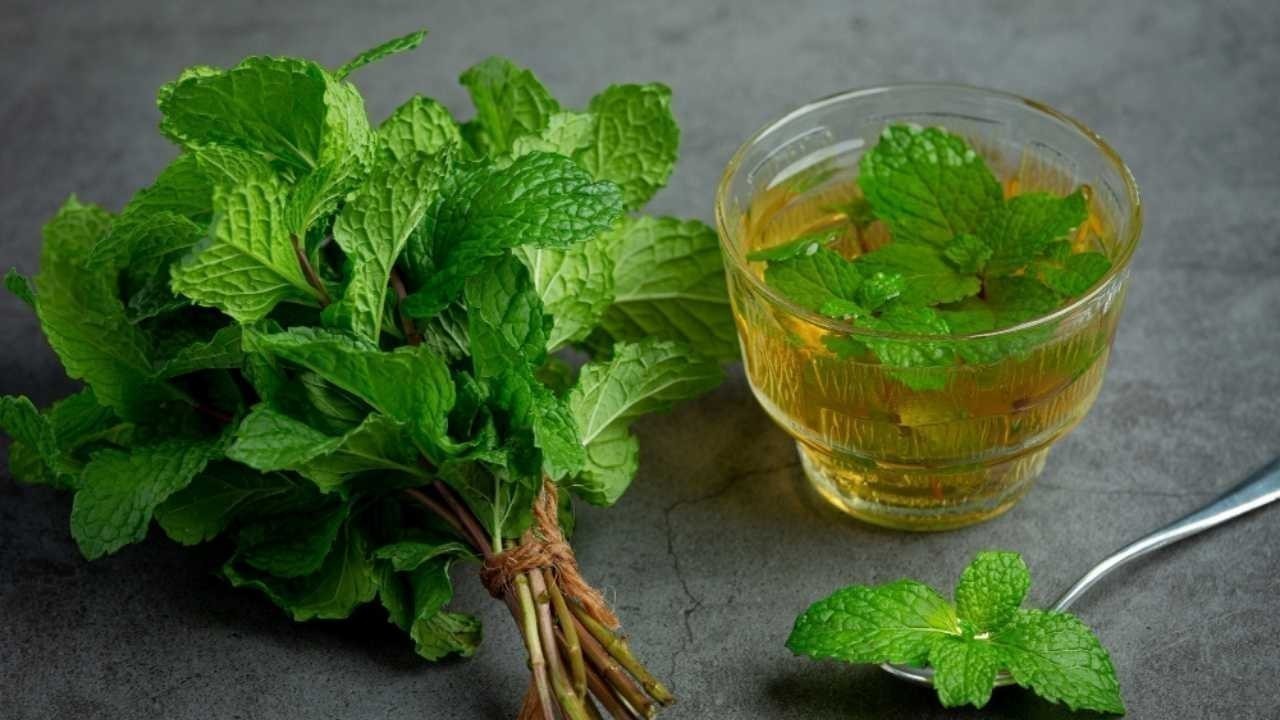 Top 5 Benefits of Mint Leaves for Hair Growth and Scalp Health