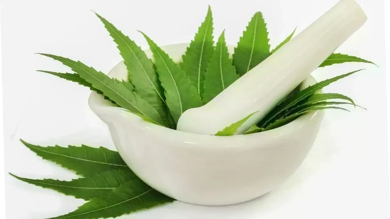How to Use Neem in Skin and Hair Care: Traditional Tips