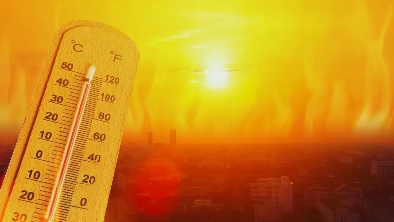 Heatwaves on the Rise: The Growing Threat of Extreme Temperatures