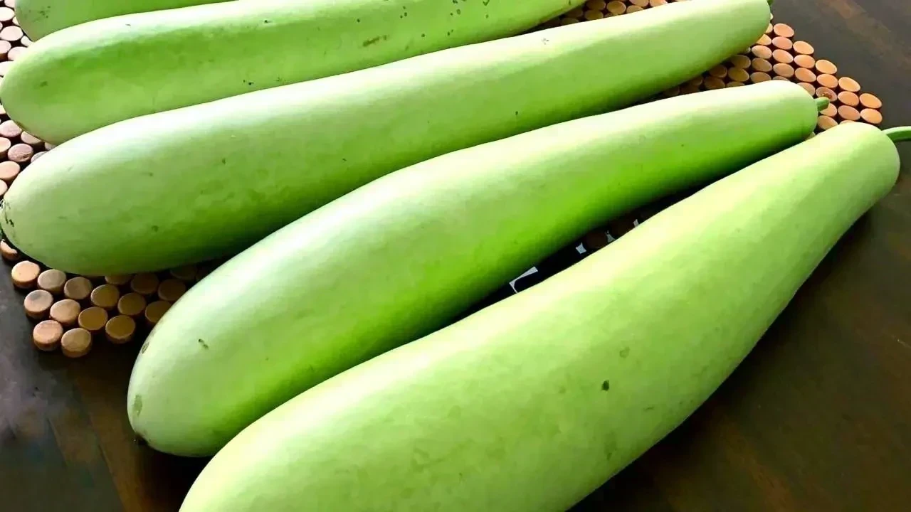 10 Delicious and Nutritious Ways to Enjoy Bottle Gourd in Your Diet