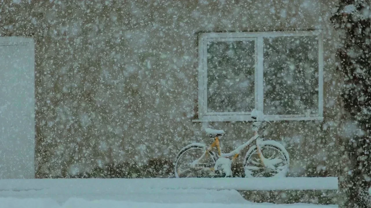 Intense Blizzard Set to Hit Southern Saskatchewan with Snow and Winds