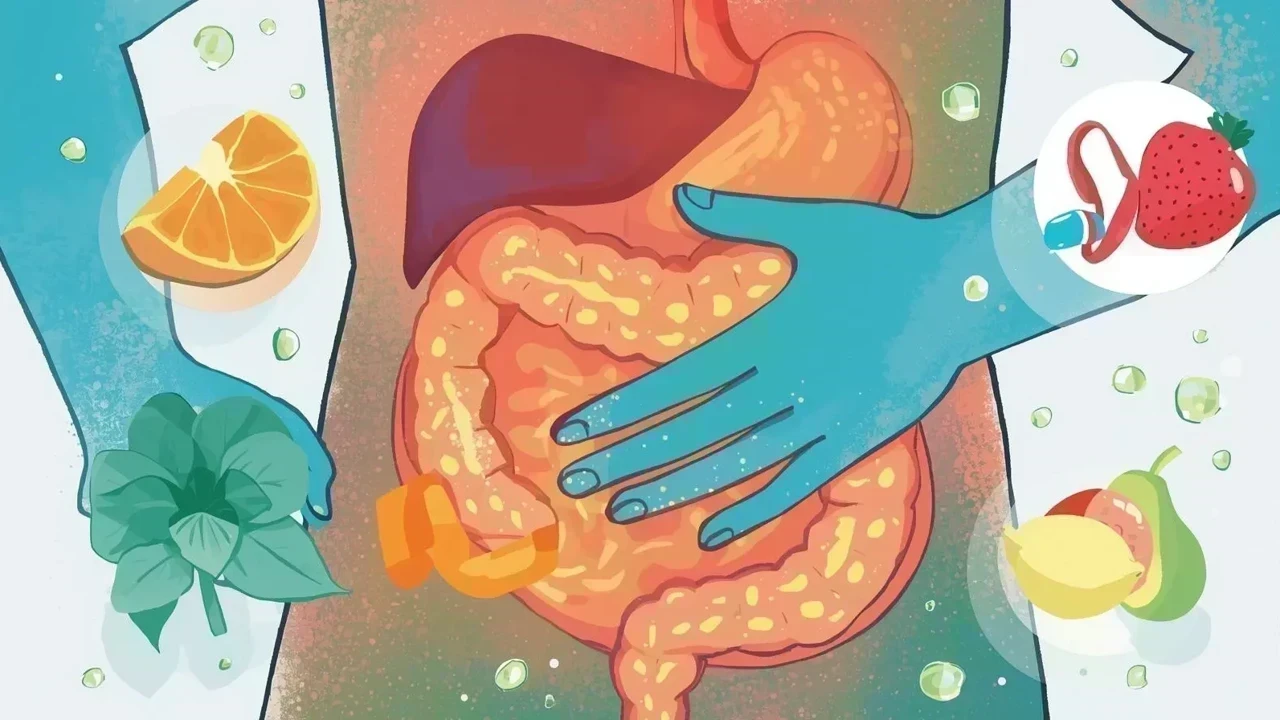 What Causes Digestive Problems and How to Improve Gut Health