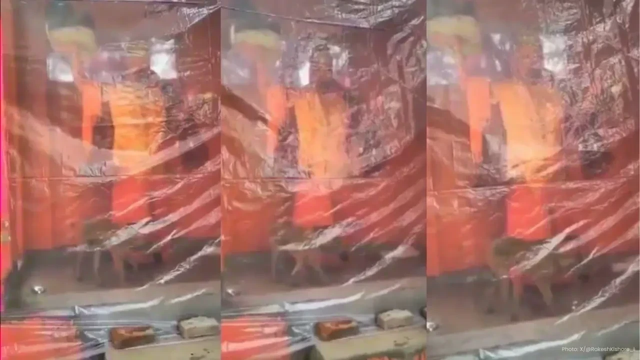Dog Circles Hanuman Idol for 36 Hours in Bijnor