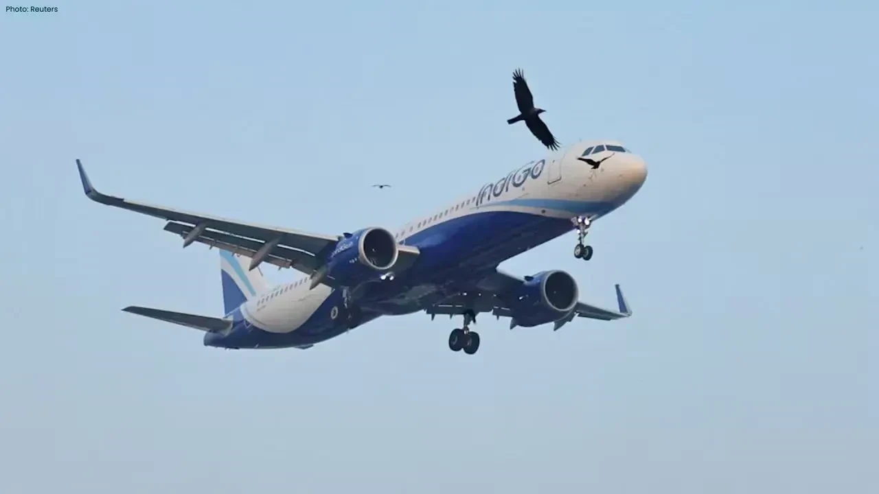 IndiGo Flight Turmoil as Pilot Declines to Fly Over Duty Limits