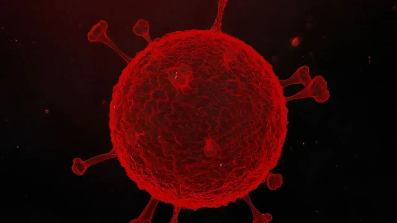 Foshan School Faces Norovirus Surge as 103 Students Report Illness