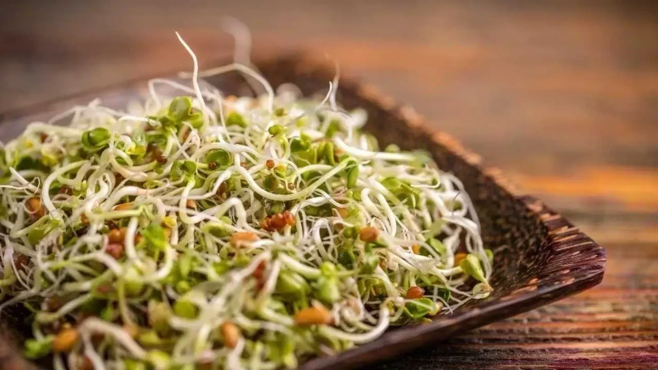 Eat Sprouts Daily? These 5 Hidden Health Benefits Will Surprise You