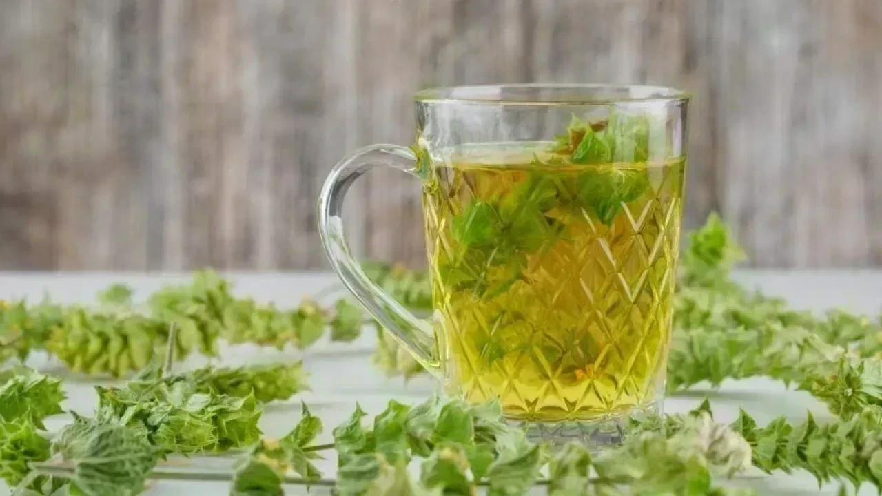 7 Reasons to Have Holy Basil Water First Thing in the Morning