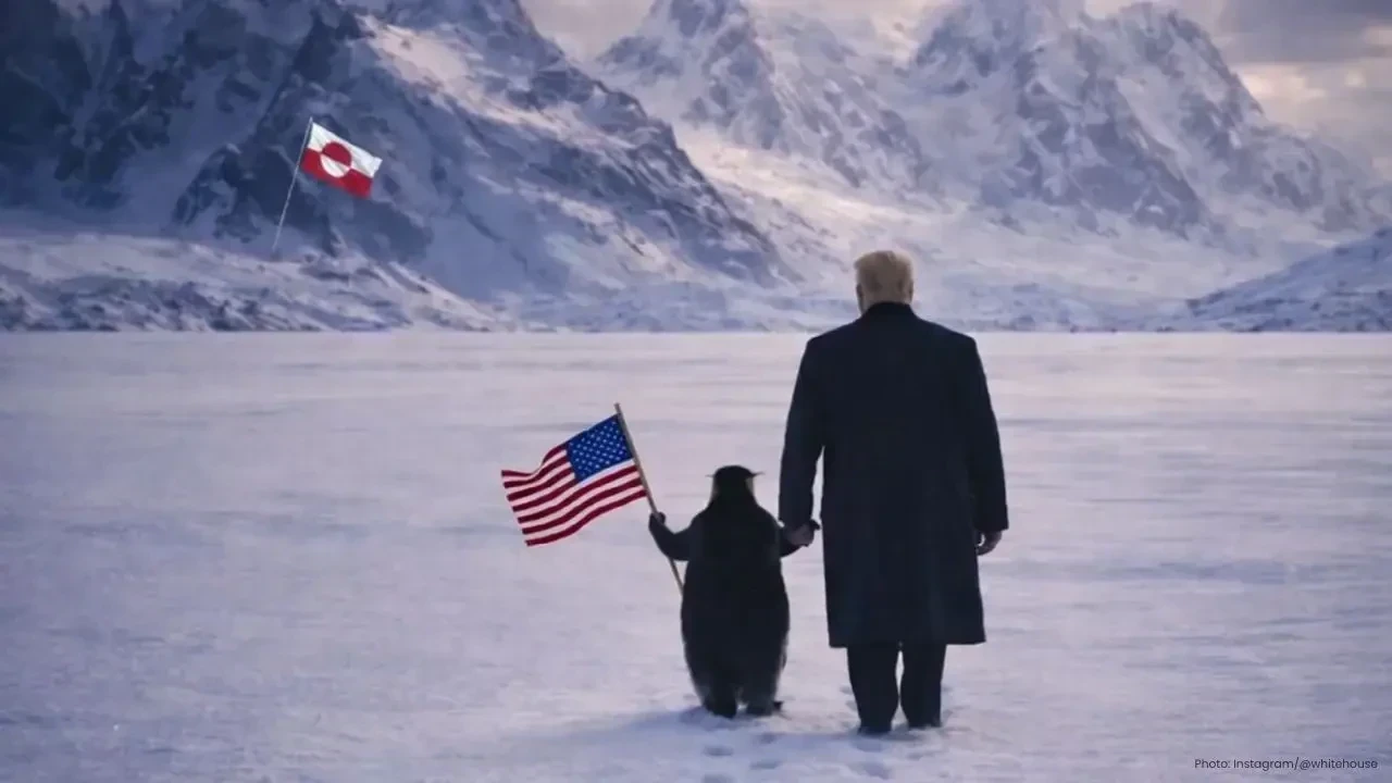 White House Penguin Meme on Greenland Draws Global Mockery
