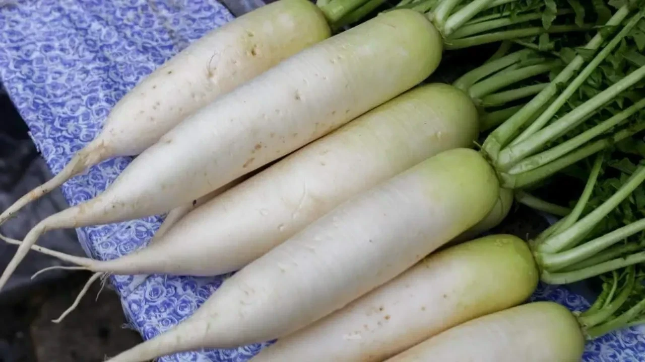 6 Health Benefits of Radish You Should Know