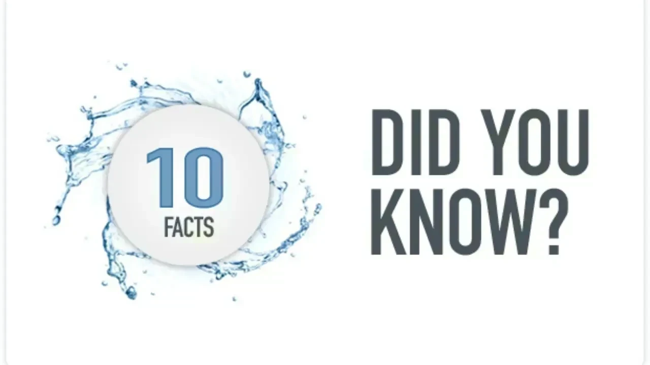 10 Surprising Insights into 2026 You Didn't Know