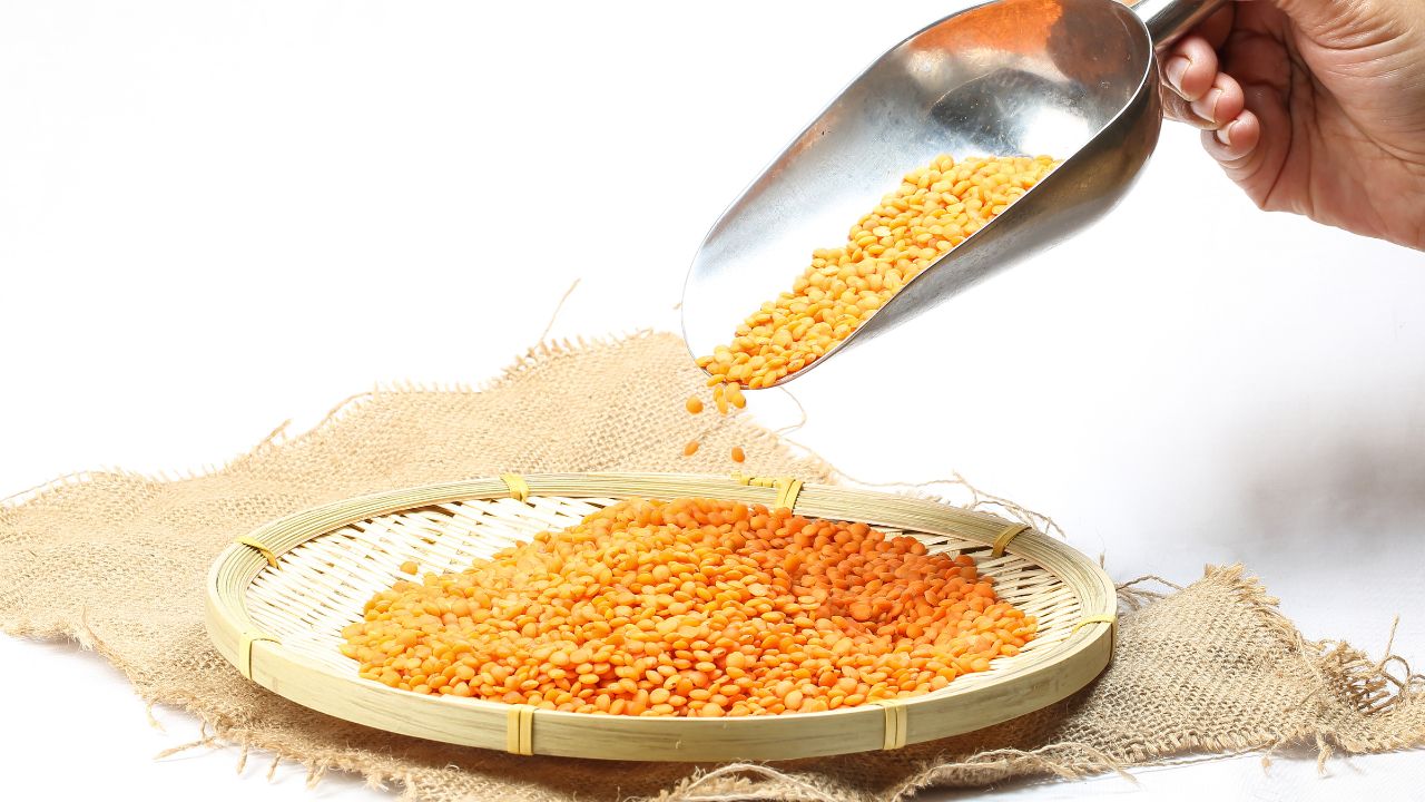 Lentils (Dal)