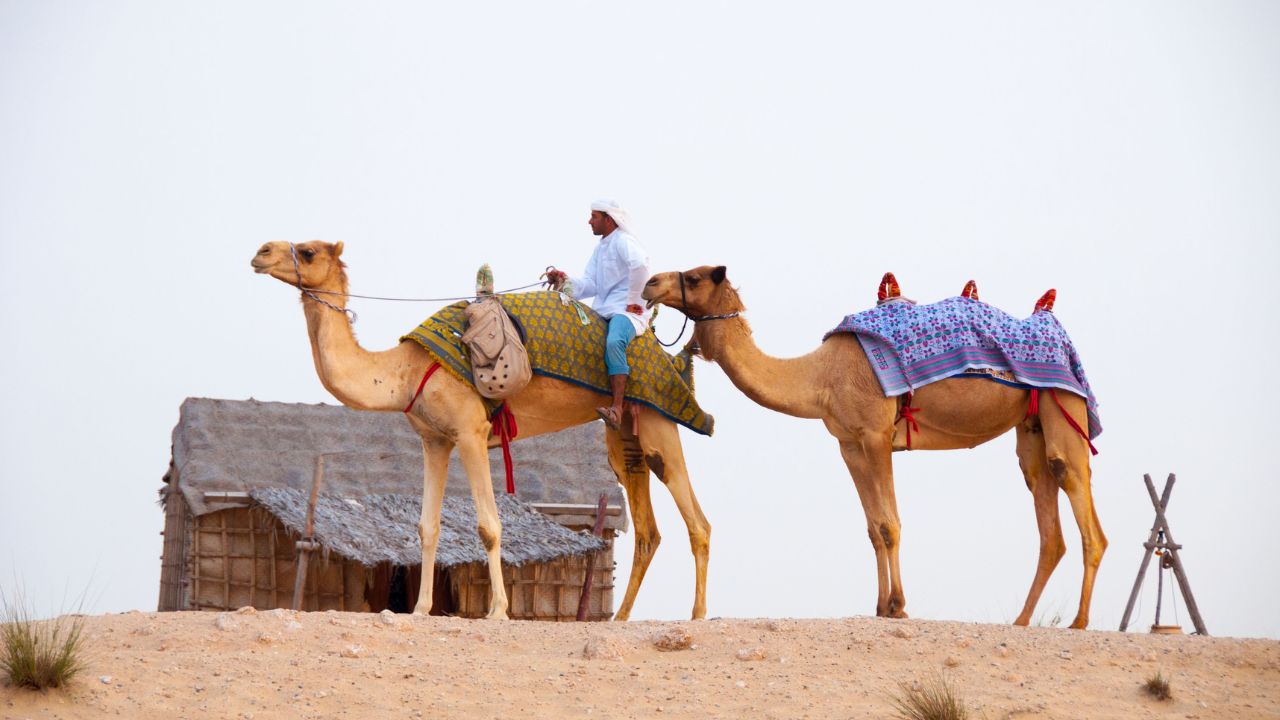 Dubai Deserts in Delight