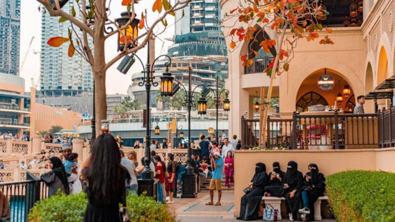 History Buff's Haven