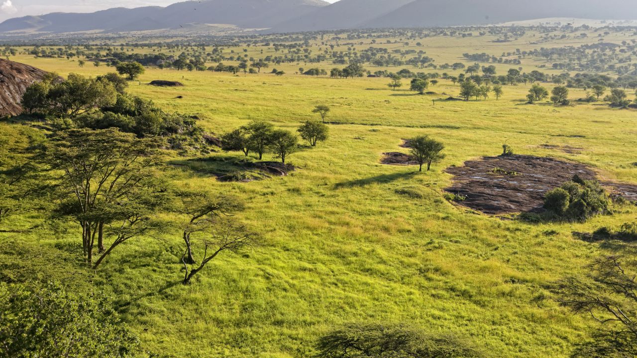 sarengeti national park